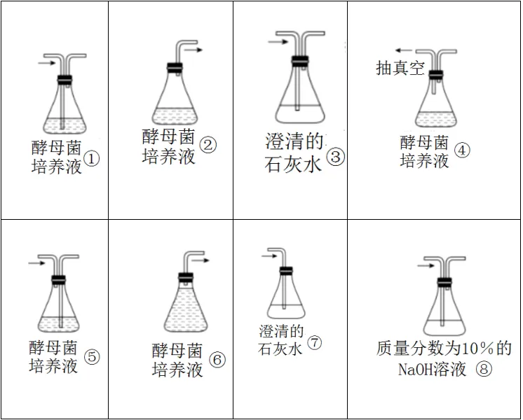 生物高考真题 | 2022年高考生物真题(重庆卷)-第4张图片-四季读书网