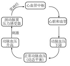 生物高考真题 | 2022年高考生物真题(重庆卷)-第5张图片-四季读书网