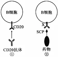 生物高考真题 | 2022年高考生物真题(重庆卷)-第11张图片-四季读书网