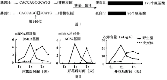 生物高考真题 | 2022年高考生物真题(重庆卷)-第13张图片-四季读书网