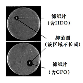 生物高考真题 | 2022年高考生物真题(重庆卷)-第14张图片-四季读书网