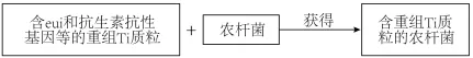 生物高考真题 | 2022年高考生物真题(重庆卷)-第16张图片-四季读书网