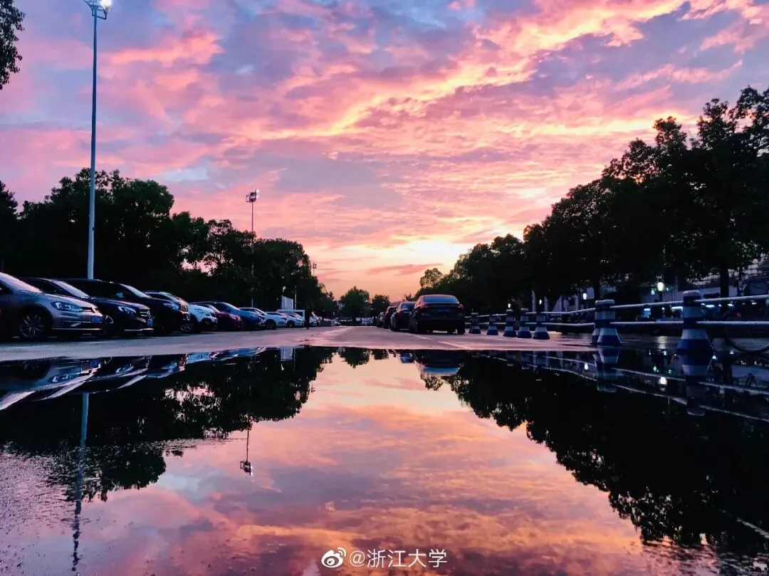 高考,再见!-第4张图片-四季读书网