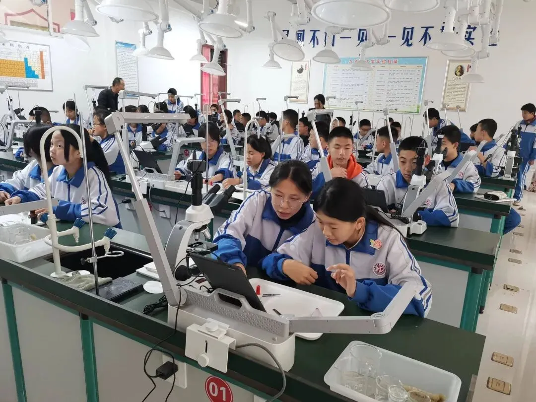 高考结束才懂:普通班当第一,和重点班做倒数,根本不是一回事-第2张图片-四季读书网