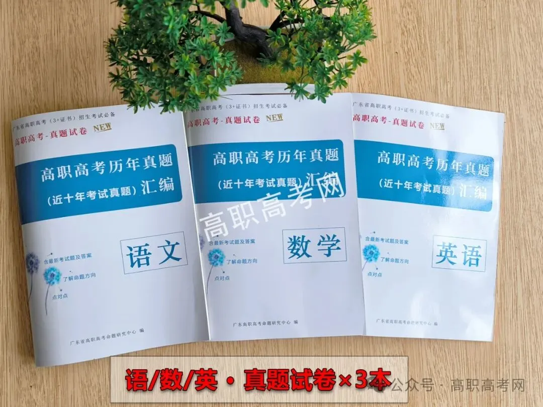 简单易学!2027版3+证书高职高考复习教材,3+证书考试专用(送视频)-第12张图片-四季读书网 简单易学!2027版3+证书高职高考复习教材,3+证书考试专用(送视频)-第12张图片-四季读书网
