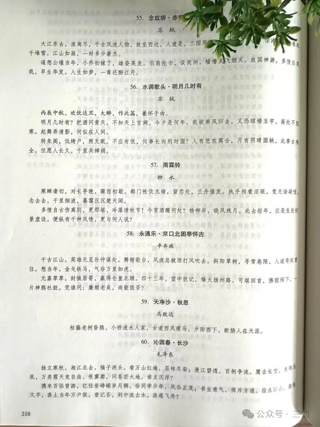 简单易学!2027版3+证书高职高考复习教材,3+证书考试专用(送视频)-第29张图片-四季读书网 简单易学!2027版3+证书高职高考复习教材,3+证书考试专用(送视频)-第29张图片-四季读书网