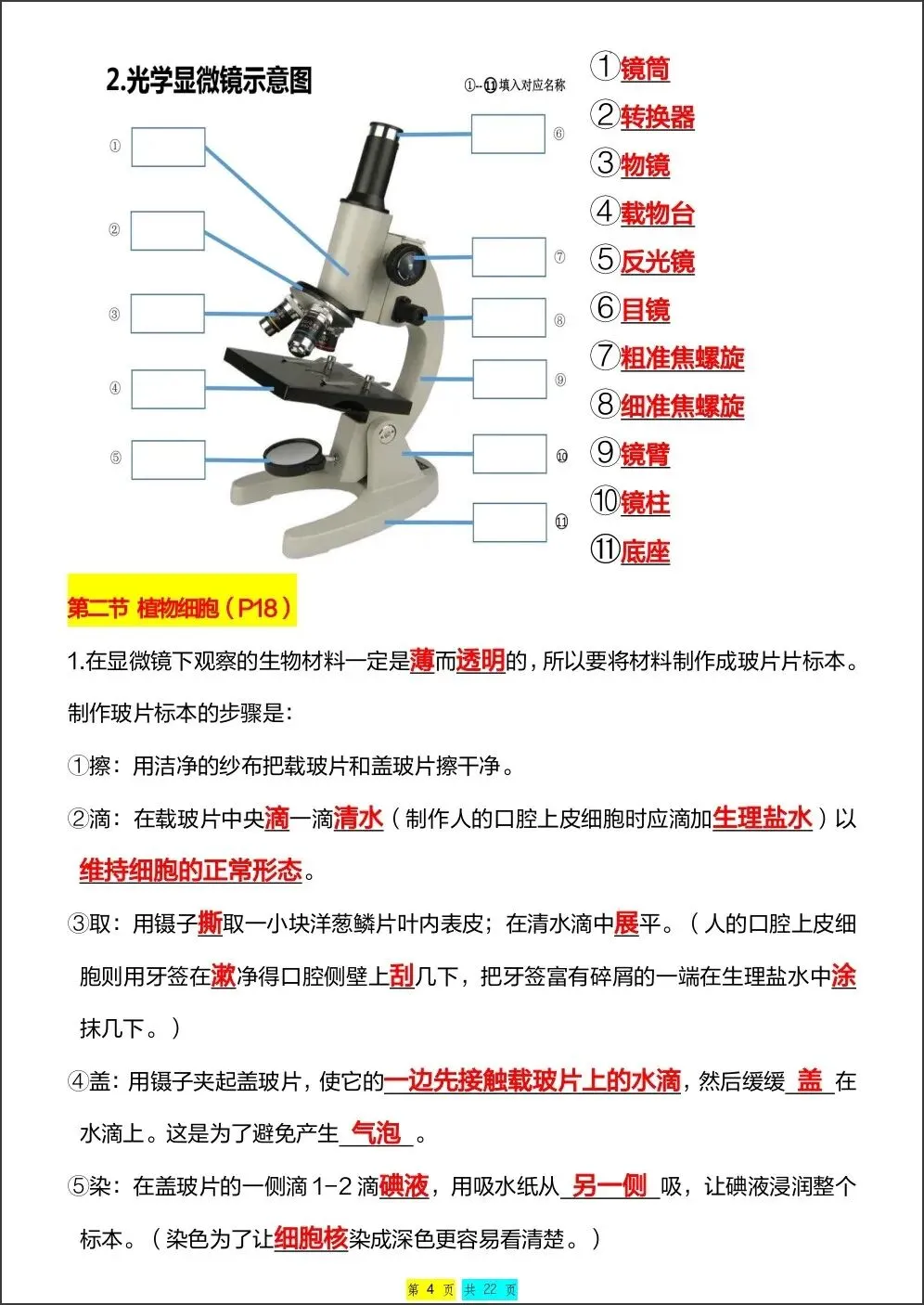 初一新版 2026【七上生物】全册重难考点知识点背诵总结,电子版可打印!-第4张图片-四季读书网 初一新版 2026【七上生物】全册重难考点知识点背诵总结,电子版可打印!-第4张图片-四季读书网