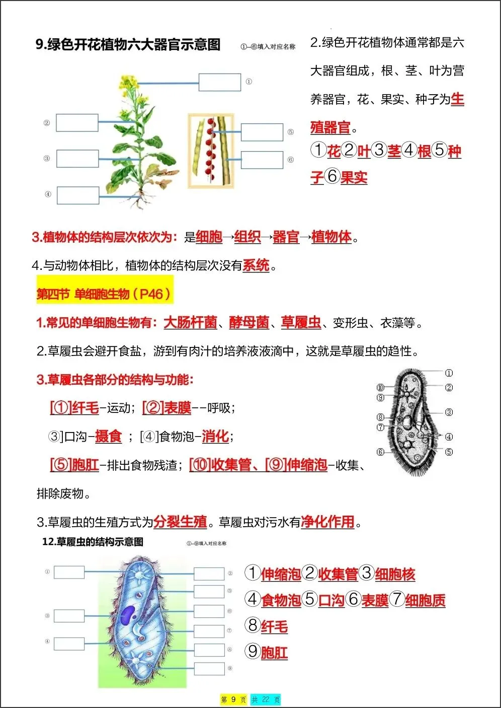初一新版 2026【七上生物】全册重难考点知识点背诵总结,电子版可打印!-第7张图片-四季读书网 初一新版 2026【七上生物】全册重难考点知识点背诵总结,电子版可打印!-第7张图片-四季读书网