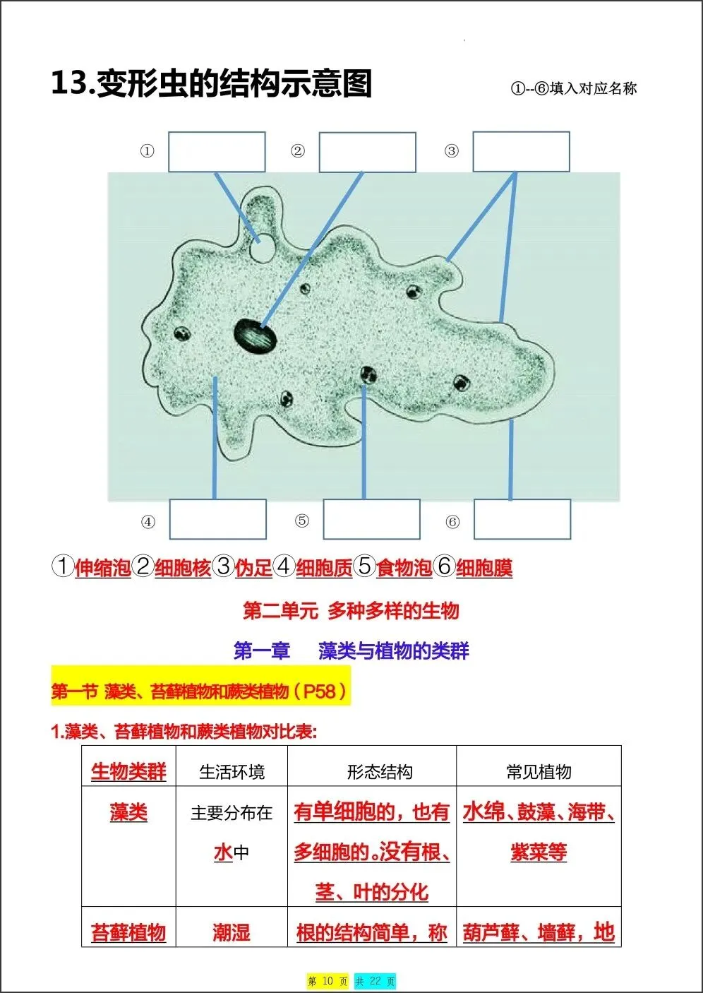 初一新版 2026【七上生物】全册重难考点知识点背诵总结,电子版可打印!-第8张图片-四季读书网 初一新版 2026【七上生物】全册重难考点知识点背诵总结,电子版可打印!-第8张图片-四季读书网