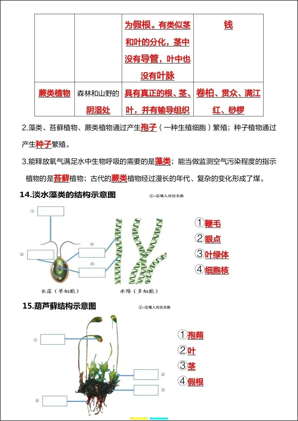 初一新版 2026【七上生物】全册重难考点知识点背诵总结,电子版可打印!-第9张图片-四季读书网 初一新版 2026【七上生物】全册重难考点知识点背诵总结,电子版可打印!-第9张图片-四季读书网