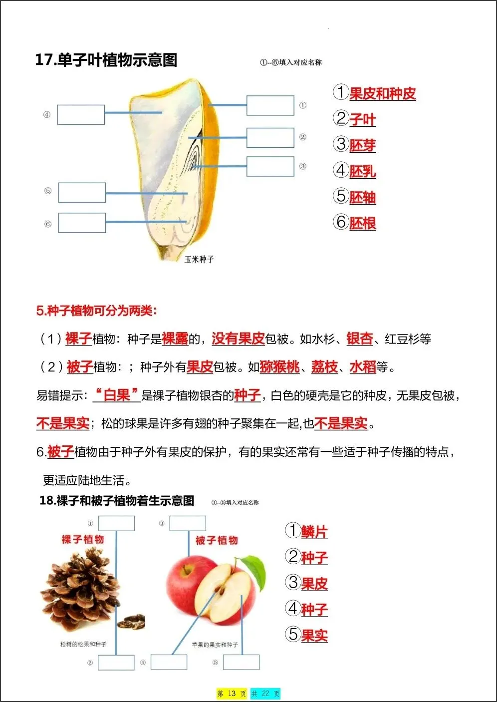初一新版 2026【七上生物】全册重难考点知识点背诵总结,电子版可打印!-第10张图片-四季读书网 初一新版 2026【七上生物】全册重难考点知识点背诵总结,电子版可打印!-第10张图片-四季读书网