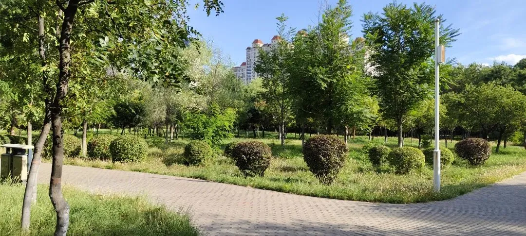 初一的孩子们,你们准备好了吗?-第1张图片-四季读书网