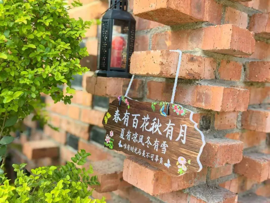 被霸凌、被偏爱、被指责:一个初三女孩的窒息童年,藏着无数家庭的隐痛-第2张图片-四季读书网
