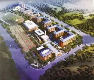 北京八十中195人提前上岸,中考还没考,就拿到高中学位的名额了?【免费领六小强升学白皮书】-第6张图片-四季读书网 北京八十中195人提前上岸,中考还没考,就拿到高中学位的名额了?【免费领六小强升学白皮书】-第6张图片-四季读书网