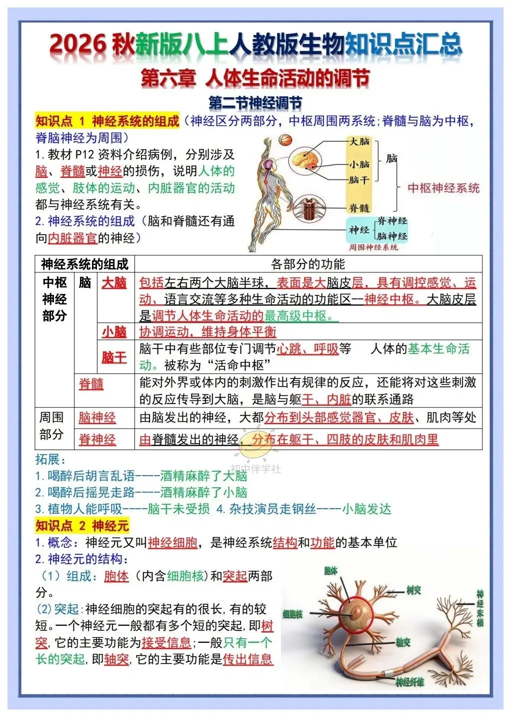 初二2026秋人教版版八年级上册生物重要考点知识点背诵总结(背诵版+默写版)!-第4张图片-四季读书网