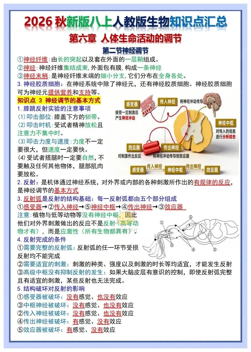 初二2026秋人教版版八年级上册生物重要考点知识点背诵总结(背诵版+默写版)!-第5张图片-四季读书网