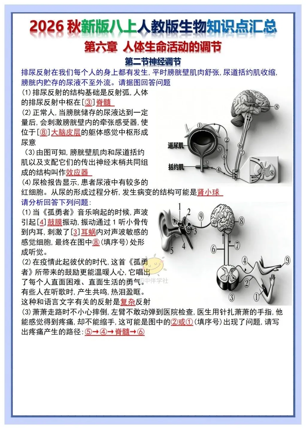 初二2026秋人教版版八年级上册生物重要考点知识点背诵总结(背诵版+默写版)!-第7张图片-四季读书网