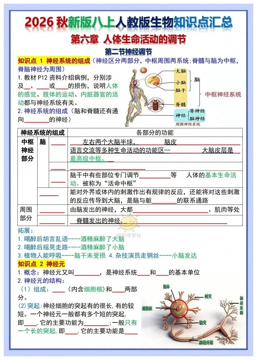 初二2026秋人教版版八年级上册生物重要考点知识点背诵总结(背诵版+默写版)!-第13张图片-四季读书网