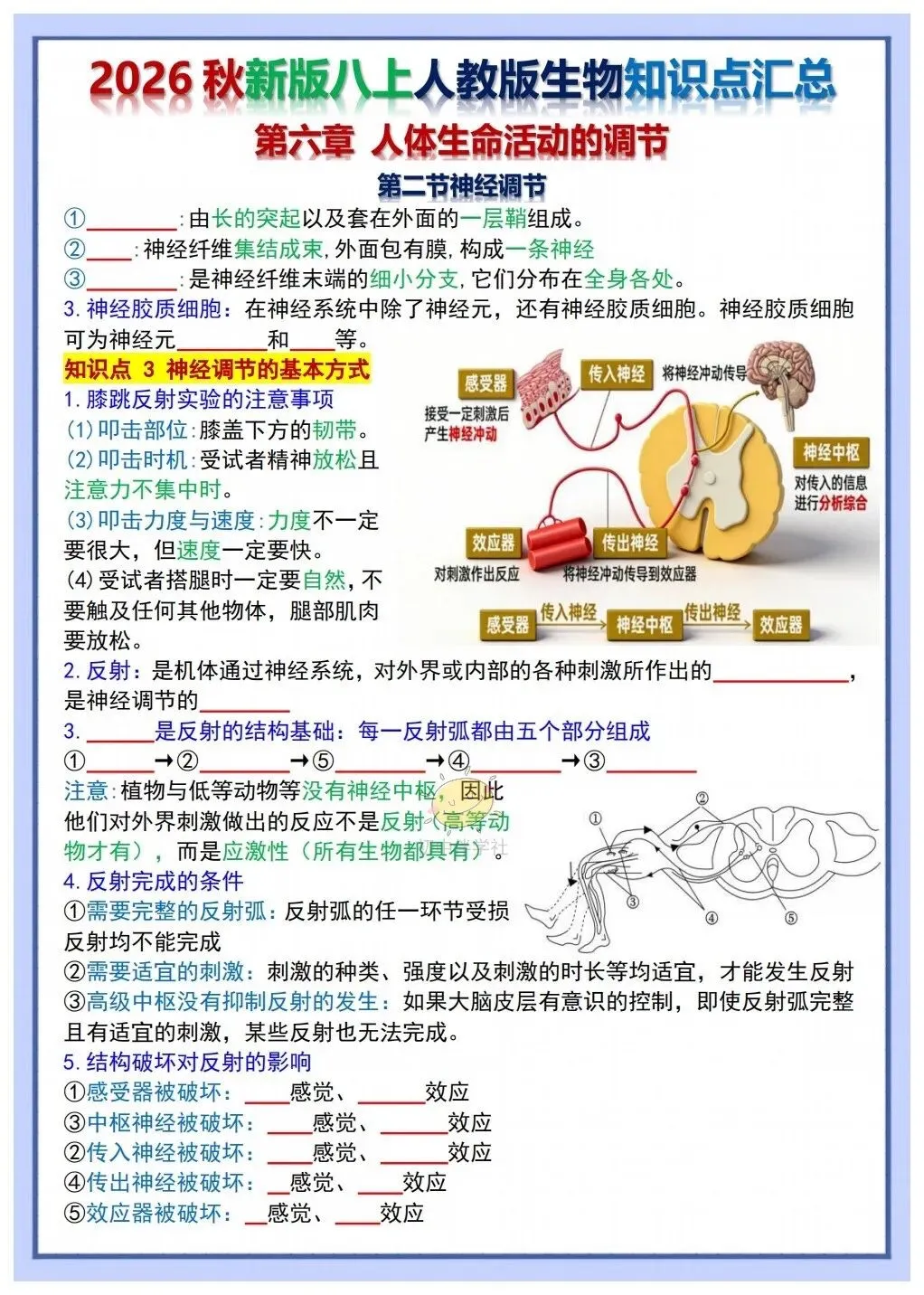 初二2026秋人教版版八年级上册生物重要考点知识点背诵总结(背诵版+默写版)!-第14张图片-四季读书网