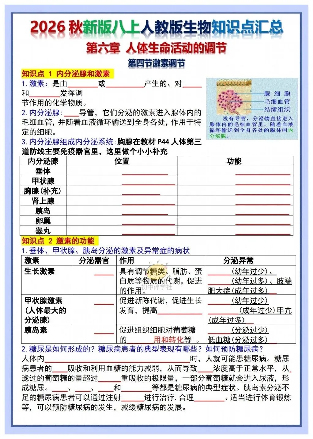 初二2026秋人教版版八年级上册生物重要考点知识点背诵总结(背诵版+默写版)!-第16张图片-四季读书网
