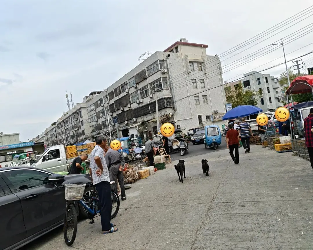 八月初三玉环楚门九头赶集|＂法困高＂的老人家们5点抢鸡,我花费64元拎到手沉-第20张图片-四季读书网