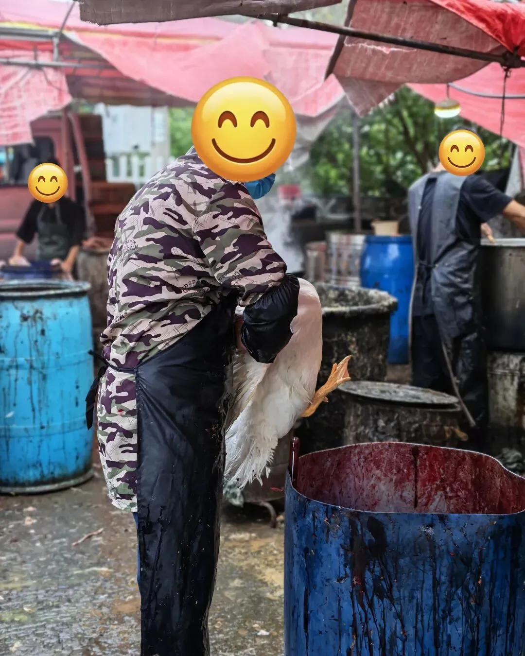 八月初三玉环楚门九头赶集|＂法困高＂的老人家们5点抢鸡,我花费64元拎到手沉-第21张图片-四季读书网