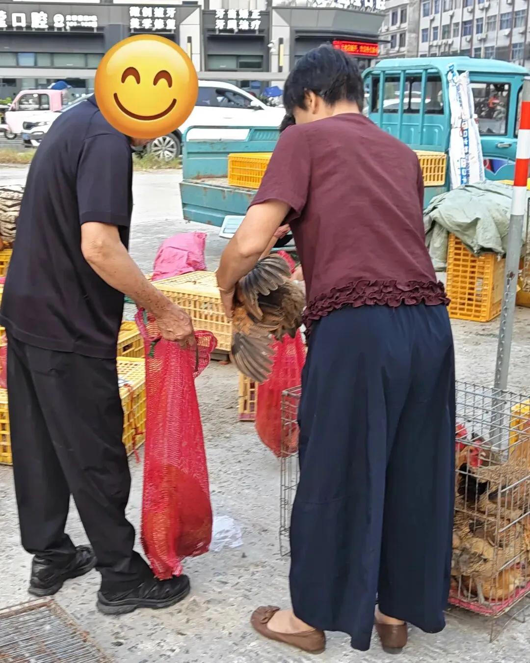 八月初三玉环楚门九头赶集|＂法困高＂的老人家们5点抢鸡,我花费64元拎到手沉-第37张图片-四季读书网
