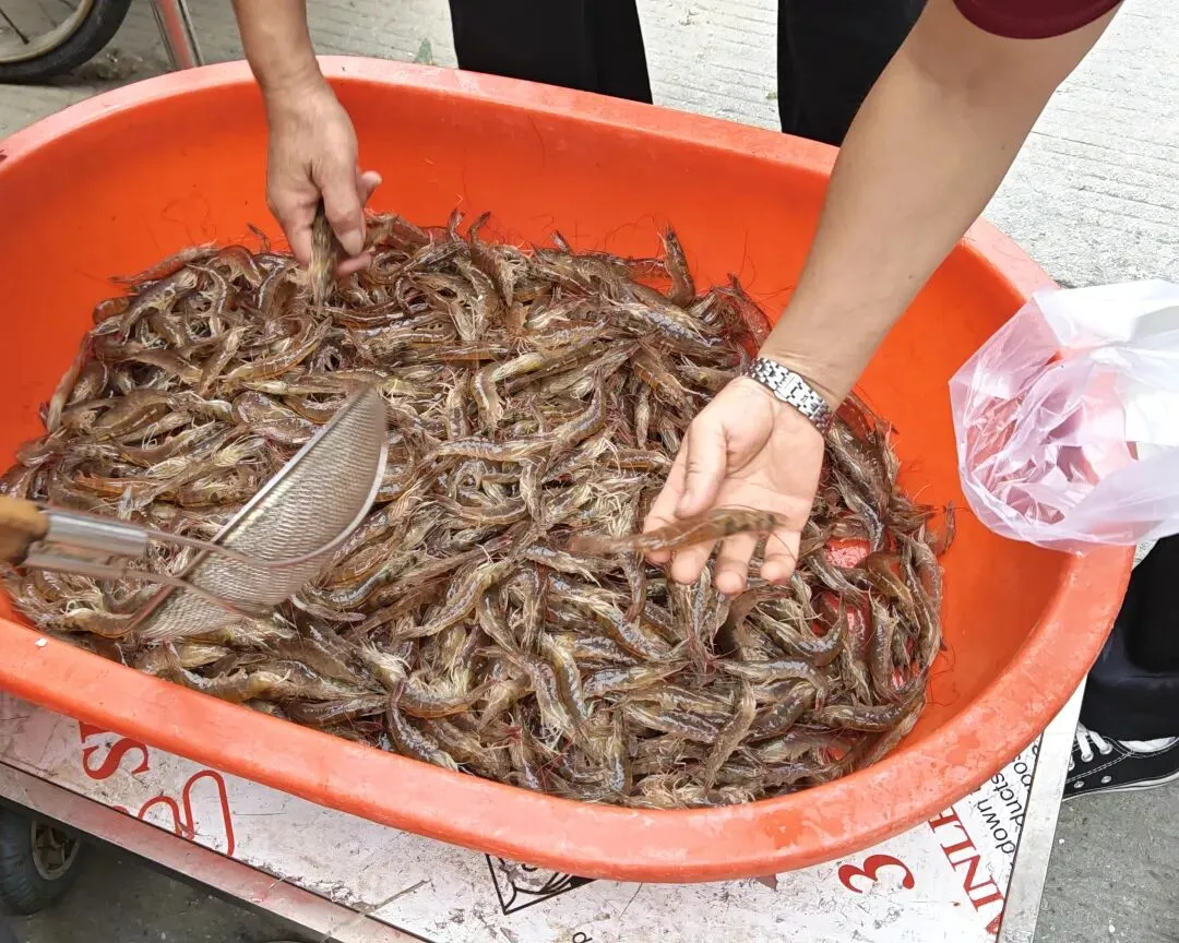 八月初三玉环楚门九头赶集|＂法困高＂的老人家们5点抢鸡,我花费64元拎到手沉-第77张图片-四季读书网
