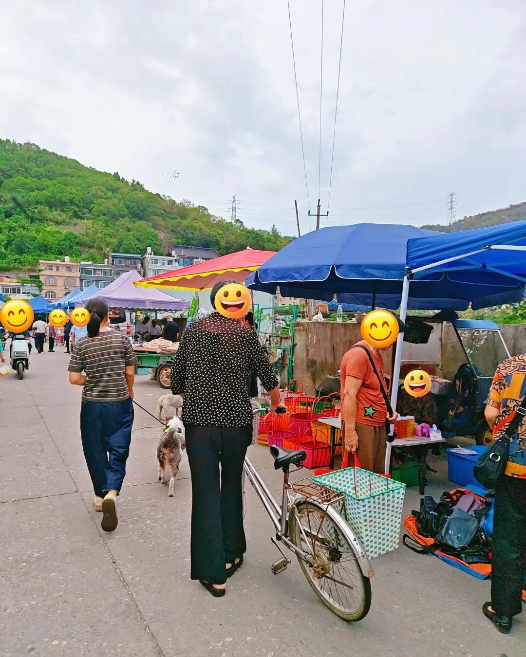 八月初三玉环楚门九头赶集|＂法困高＂的老人家们5点抢鸡,我花费64元拎到手沉-第89张图片-四季读书网