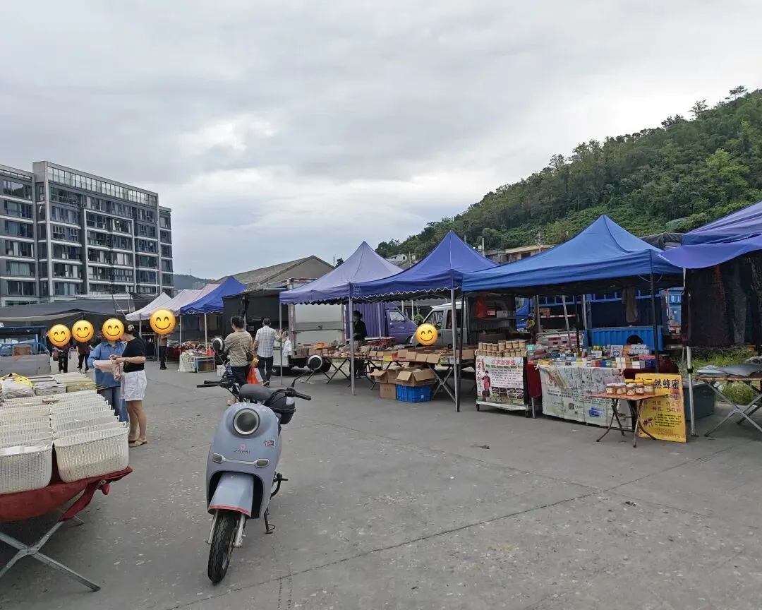 八月初三玉环楚门九头赶集|＂法困高＂的老人家们5点抢鸡,我花费64元拎到手沉-第92张图片-四季读书网