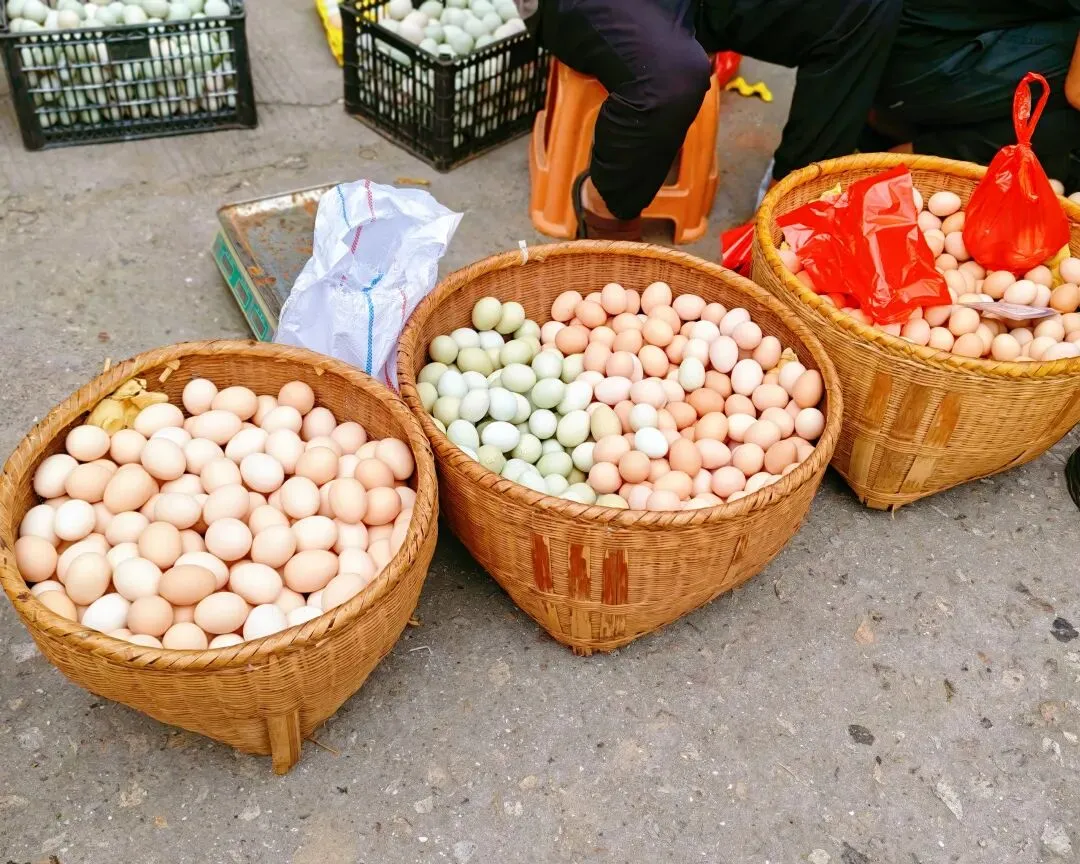 八月初三玉环楚门九头赶集|＂法困高＂的老人家们5点抢鸡,我花费64元拎到手沉-第111张图片-四季读书网