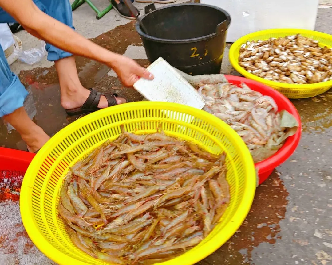 八月初三玉环楚门九头赶集|＂法困高＂的老人家们5点抢鸡,我花费64元拎到手沉-第112张图片-四季读书网