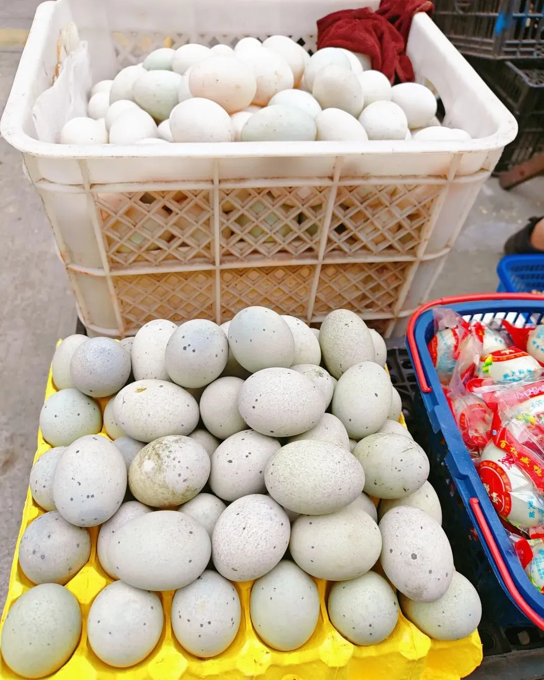 八月初三玉环楚门九头赶集|＂法困高＂的老人家们5点抢鸡,我花费64元拎到手沉-第125张图片-四季读书网