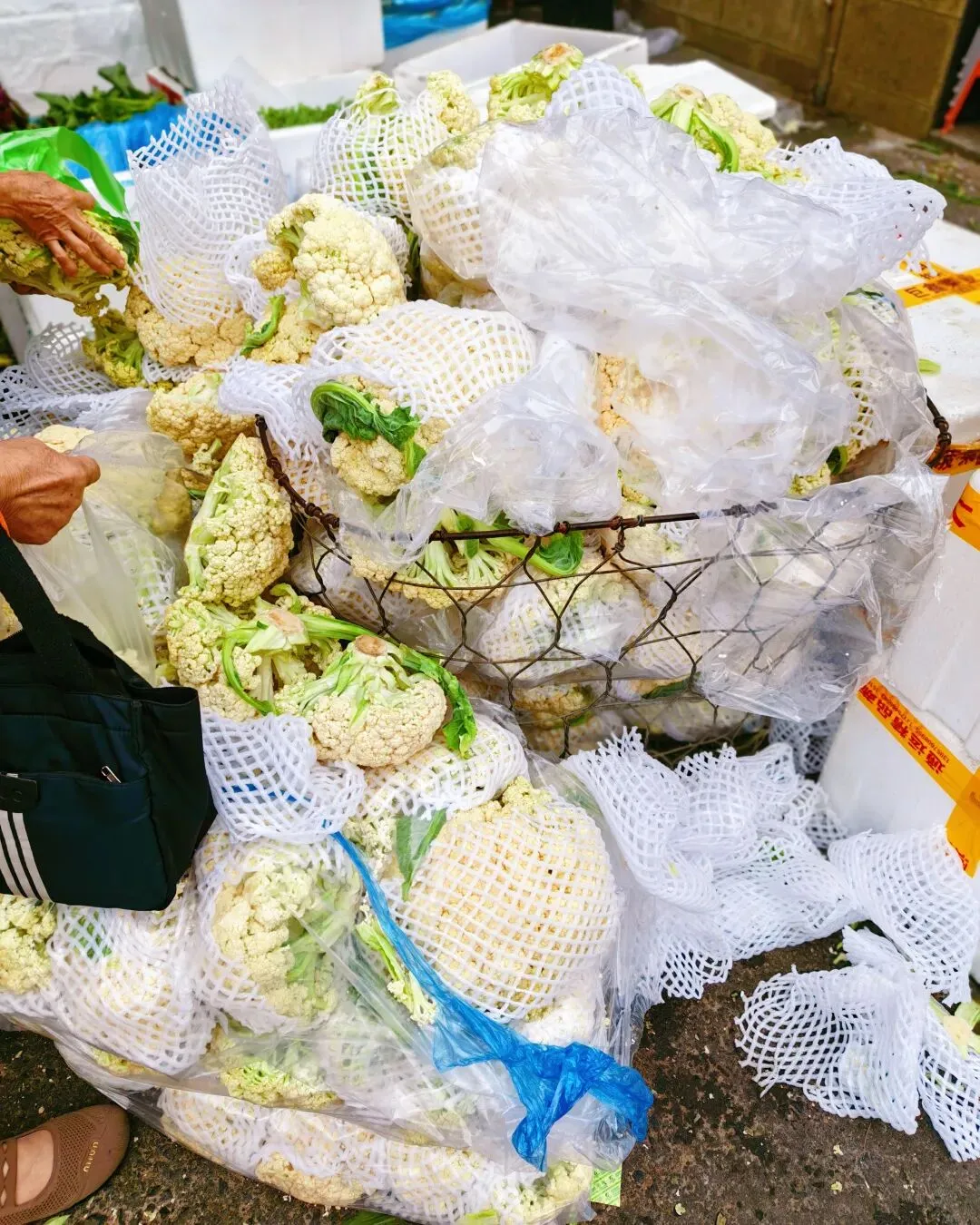 八月初三玉环楚门九头赶集|＂法困高＂的老人家们5点抢鸡,我花费64元拎到手沉-第143张图片-四季读书网