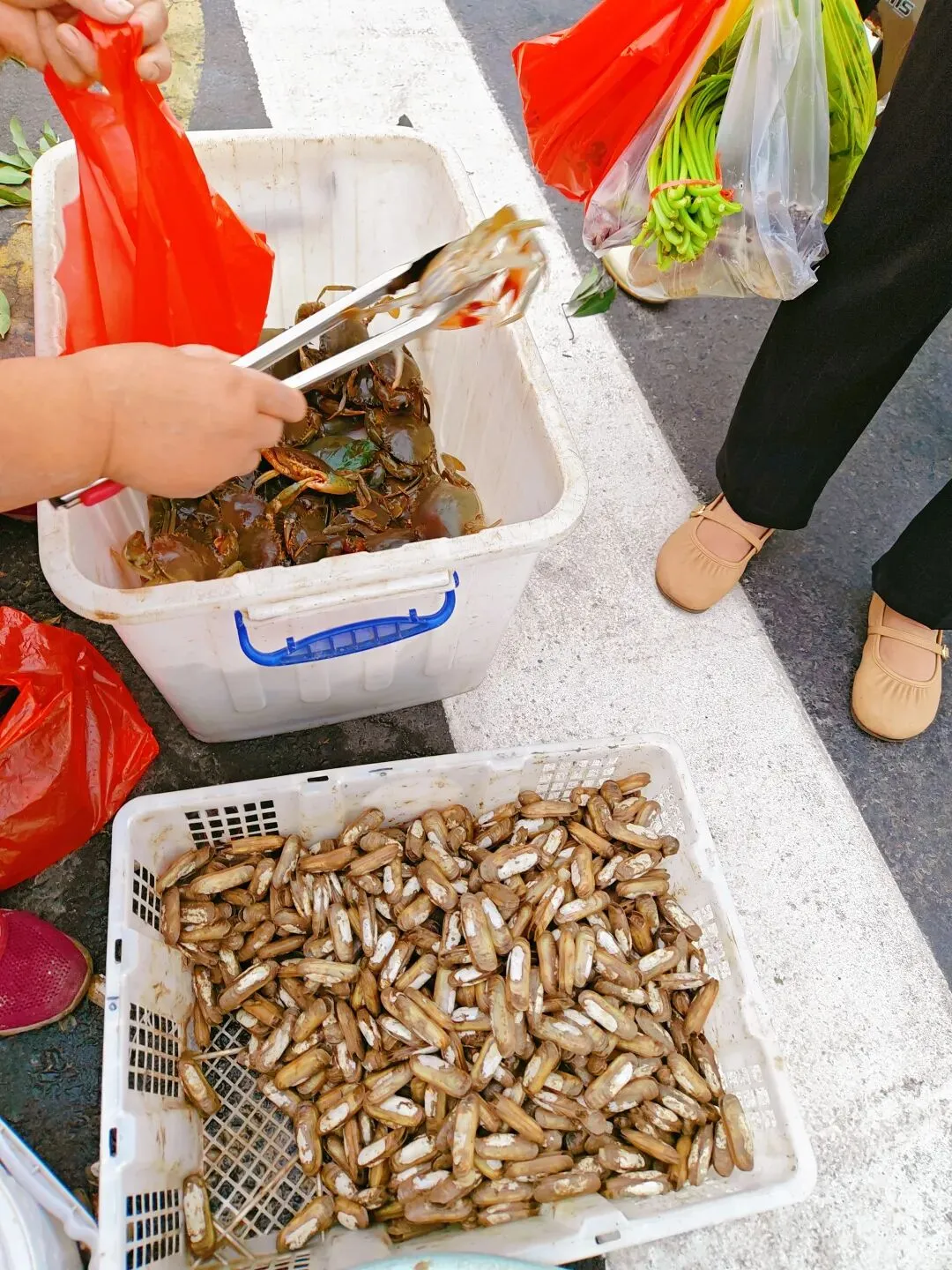 八月初三玉环楚门九头赶集|＂法困高＂的老人家们5点抢鸡,我花费64元拎到手沉-第155张图片-四季读书网
