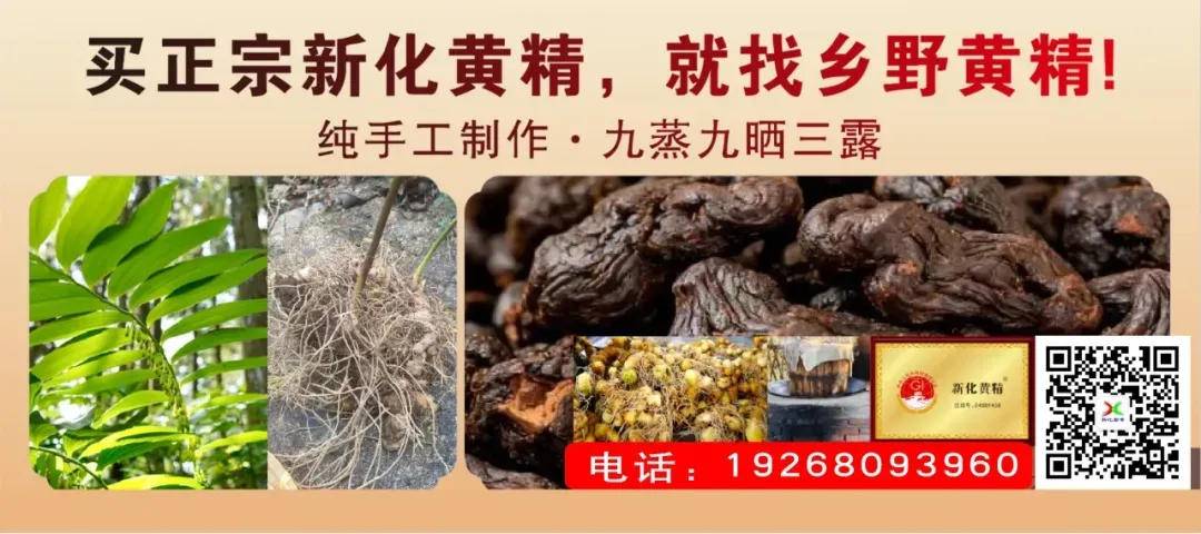 一件旧衣服跨越高考与入学|新化父子的故事,看完红了眼眶-第2张图片-四季读书网 一件旧衣服跨越高考与入学|新化父子的故事,看完红了眼眶-第2张图片-四季读书网