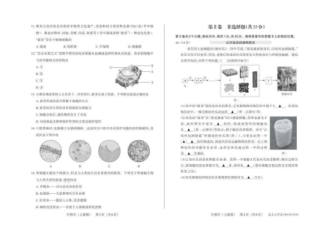【初一月考】晋文源2025-2026七年级(上)阶段二质量检测-第24张图片-四季读书网 【初一月考】晋文源2025-2026七年级(上)阶段二质量检测-第24张图片-四季读书网