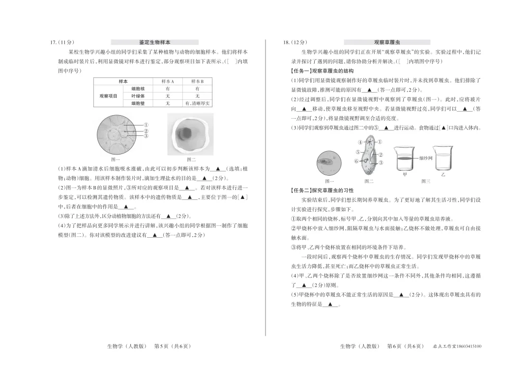 【初一月考】晋文源2025-2026七年级(上)阶段二质量检测-第25张图片-四季读书网 【初一月考】晋文源2025-2026七年级(上)阶段二质量检测-第25张图片-四季读书网