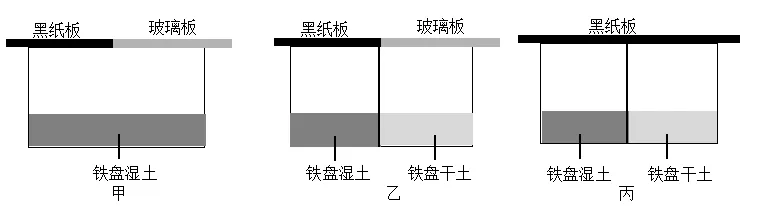 2025齐齐哈尔生物中考真题与答案-第10张图片-四季读书网
