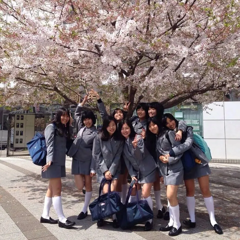 中考出分!日本高中留学超全攻略 + 避坑指南,一文看懂出路-第1张图片-四季读书网