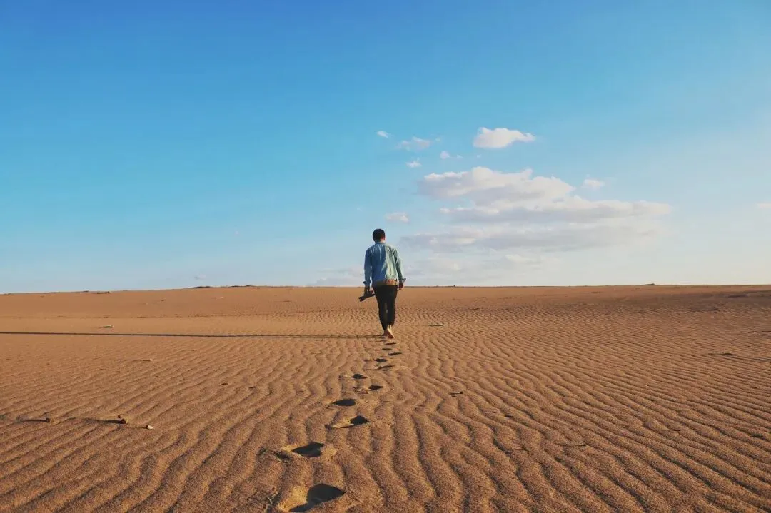 史上最难高考结束,再读2022作文题,我终于知道什么才是人与人之间最大的差距-第5张图片-四季读书网