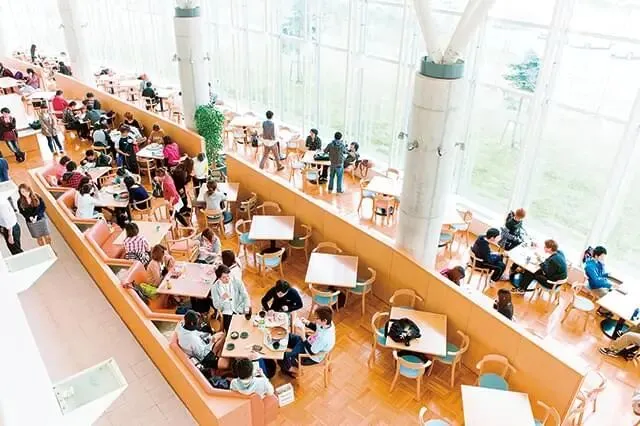 高考日语生优势赛道|国内直申 9 所日本优质大学,免语言学校,无需留考成绩!少数今年秋季可入学!-第58张图片-四季读书网 高考日语生优势赛道|国内直申 9 所日本优质大学,免语言学校,无需留考成绩!少数今年秋季可入学!-第58张图片-四季读书网