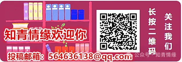 没有高考的年代:哪样的上海知青能进大学校门-第2张图片-四季读书网