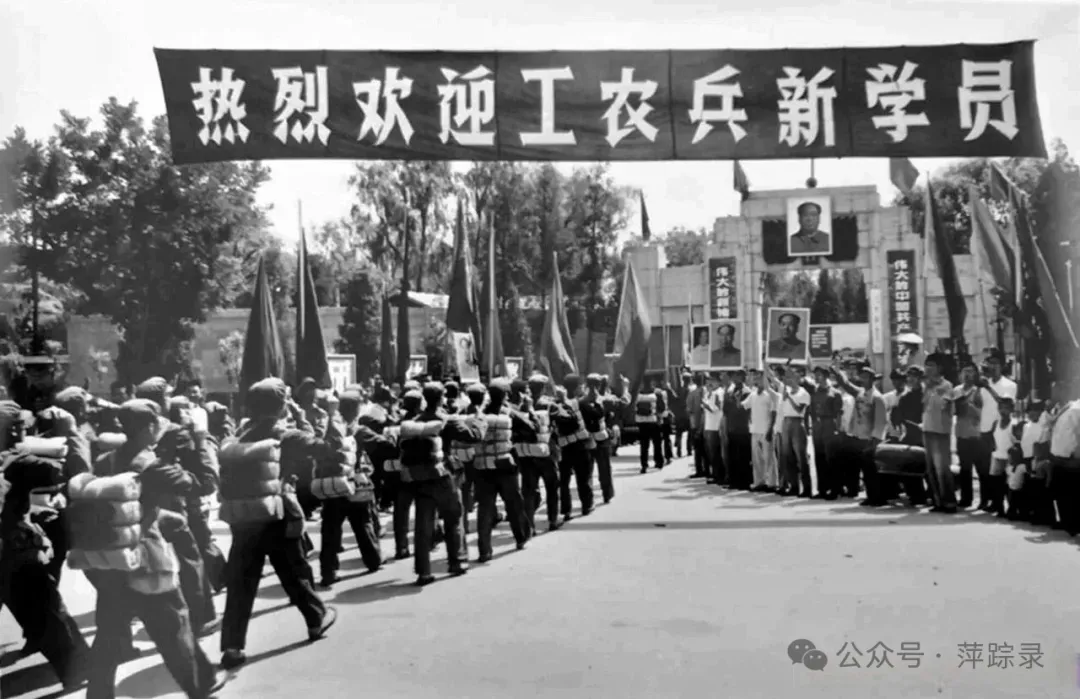 没有高考的年代:哪样的上海知青能进大学校门-第3张图片-四季读书网
