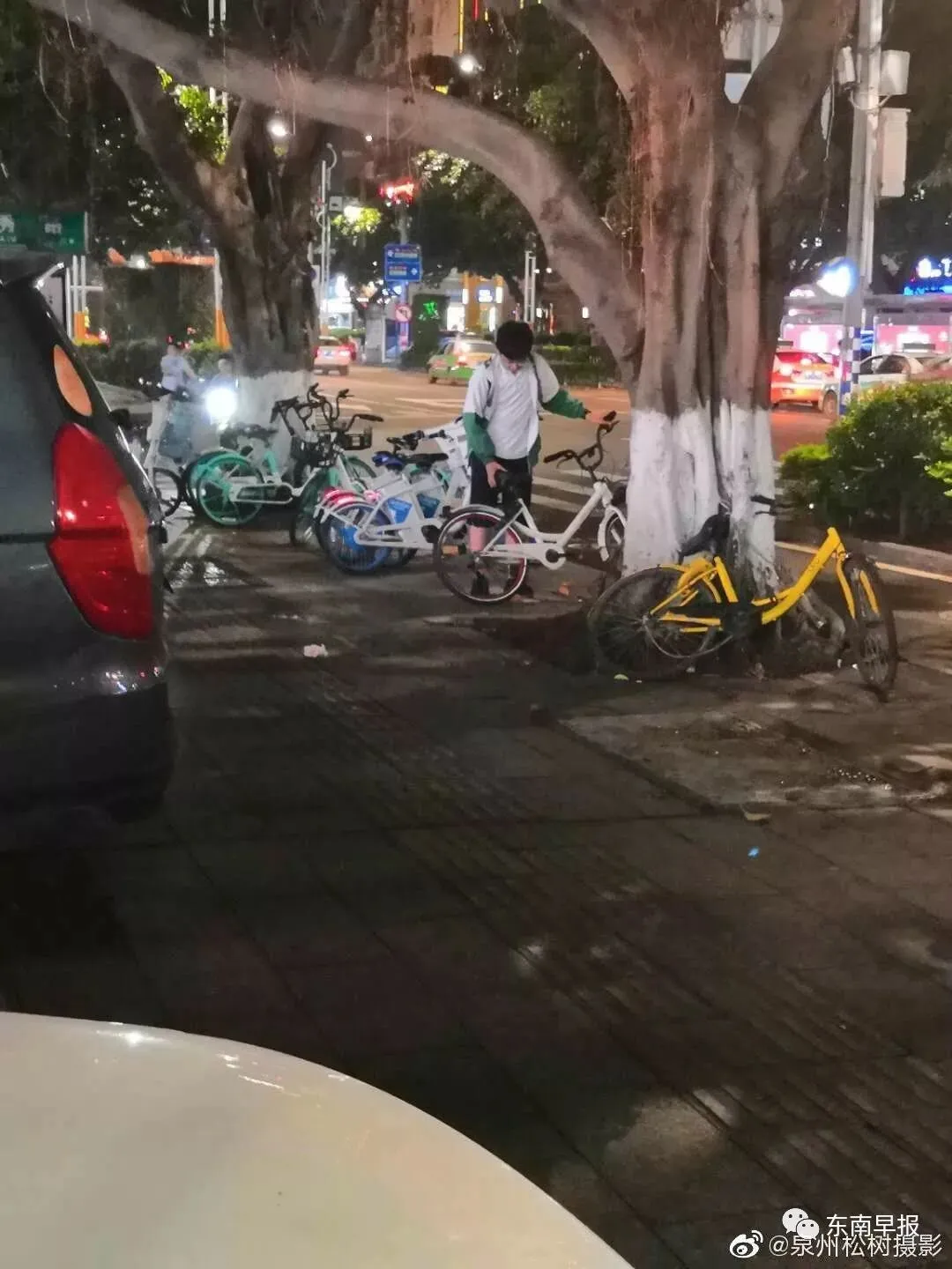 初三学生叶建琨,你出名了!每晚回家半路做这事,被人拍下了-第4张图片-四季读书网