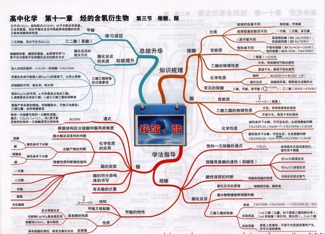收藏:高考各科新思维导图全汇总-第185张图片-四季读书网