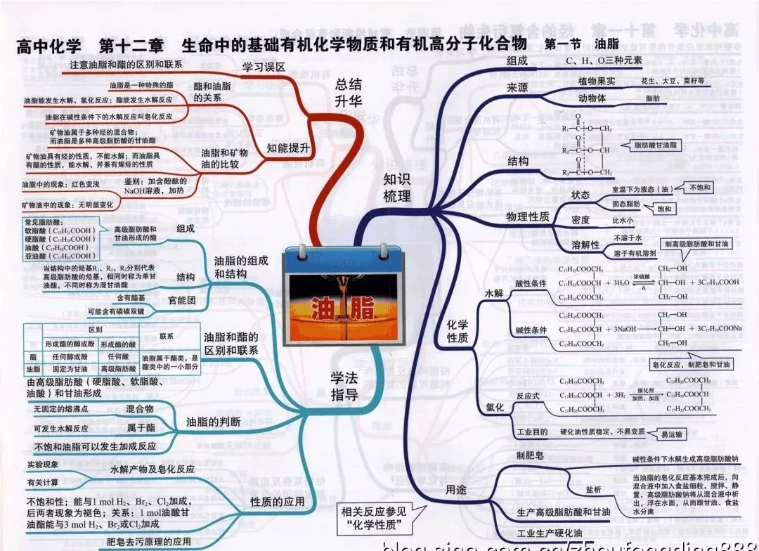 收藏:高考各科新思维导图全汇总-第187张图片-四季读书网
