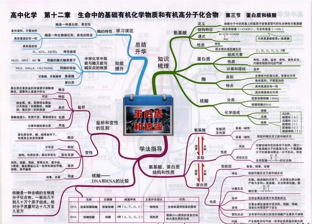 收藏:高考各科新思维导图全汇总-第189张图片-四季读书网
