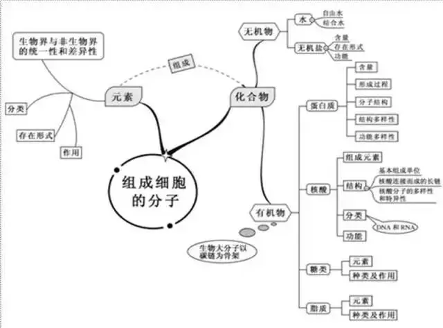 收藏:高考各科新思维导图全汇总-第191张图片-四季读书网