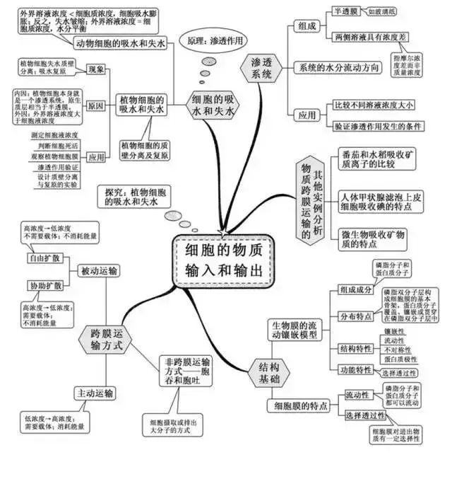 收藏:高考各科新思维导图全汇总-第193张图片-四季读书网